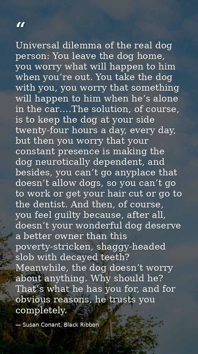 Universal dilemma of the real dog person: You leave the dog home, you worry what will happen to him when you’re out. You — Susan Conant, Black Ribbon