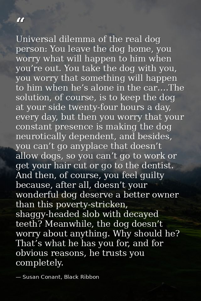 Universal dilemma of the real dog person: You leave the dog home, you worry what will happen to him when you’re out. You — Susan Conant, Black Ribbon