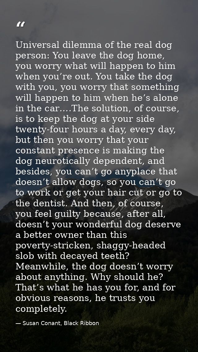 Universal dilemma of the real dog person: You leave the dog home, you worry what will happen to him when you’re out. You — Susan Conant, Black Ribbon