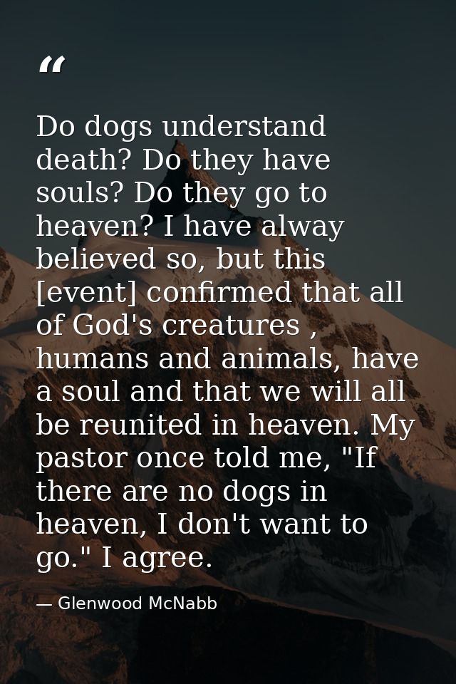 Do dogs understand death? Do they have souls? Do they go to heaven? I have alway believed so, but this [event] confirmed — Glenwood McNabb