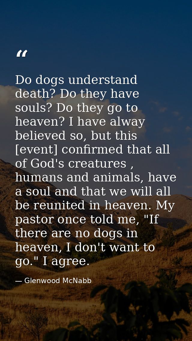 Do dogs understand death? Do they have souls? Do they go to heaven? I have alway believed so, but this [event] confirmed — Glenwood McNabb
