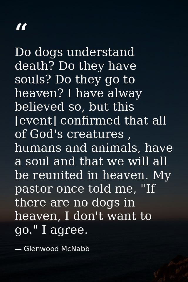 Do dogs understand death? Do they have souls? Do they go to heaven? I have alway believed so, but this [event] confirmed — Glenwood McNabb