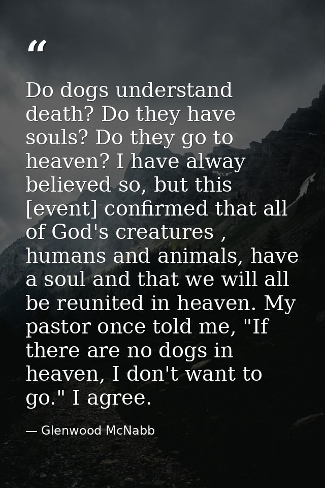 Do dogs understand death? Do they have souls? Do they go to heaven? I have alway believed so, but this [event] confirmed — Glenwood McNabb
