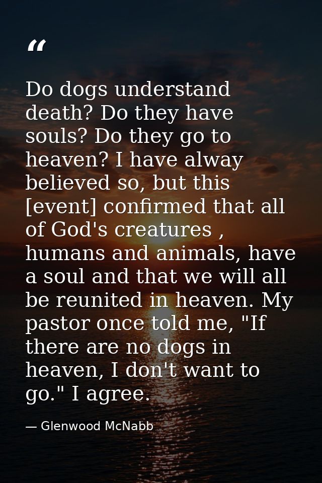 Do dogs understand death? Do they have souls? Do they go to heaven? I have alway believed so, but this [event] confirmed — Glenwood McNabb