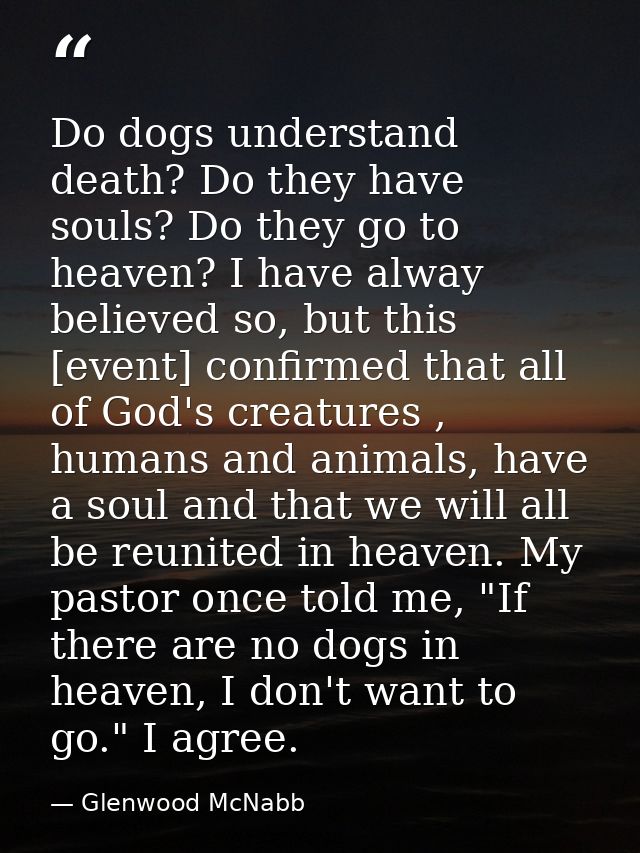 Do dogs understand death? Do they have souls? Do they go to heaven? I have alway believed so, but this [event] confirmed — Glenwood McNabb