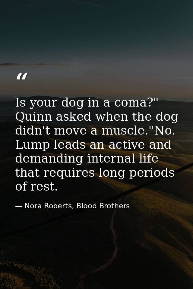 Is your dog in a coma?" Quinn asked when the dog didn't move a muscle."No. Lump leads an active and demanding internal l — Nora Roberts, Blood Brothers