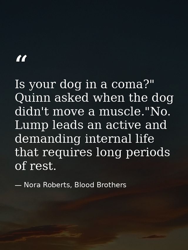 Is your dog in a coma?" Quinn asked when the dog didn't move a muscle."No. Lump leads an active and demanding internal l — Nora Roberts, Blood Brothers