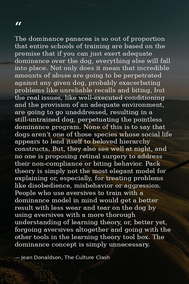 The dominance panacea is so out of proportion that entire schools of training are based on the premise that if you can j — Jean Donaldson, The Culture Clash