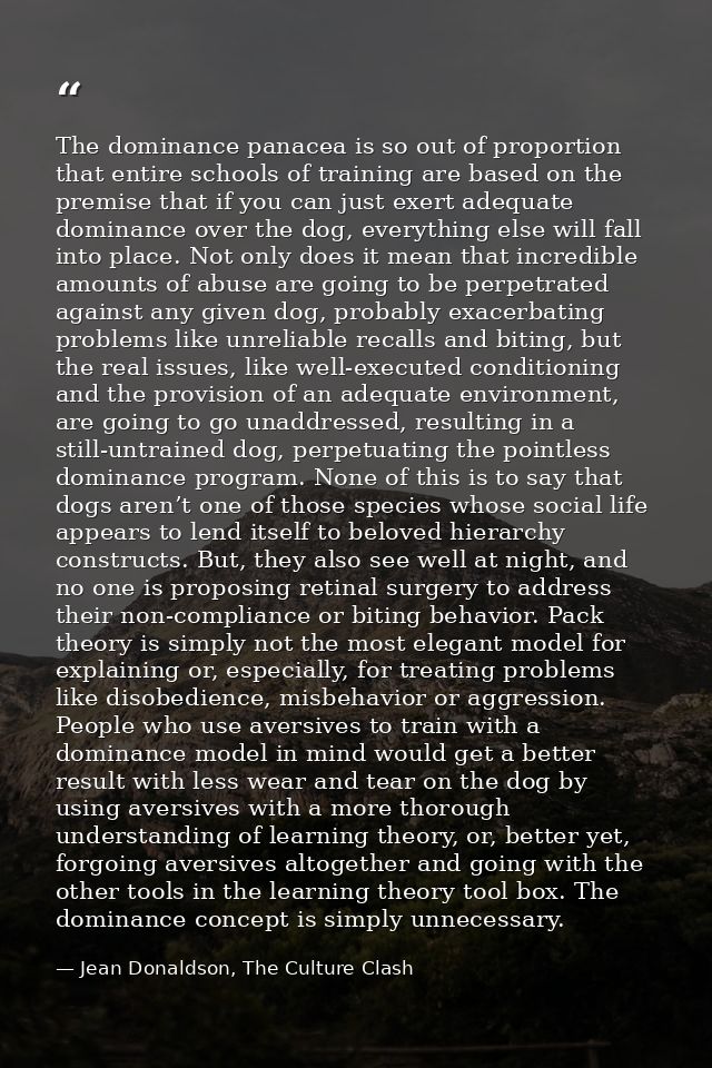 The dominance panacea is so out of proportion that entire schools of training are based on the premise that if you can j — Jean Donaldson, The Culture Clash