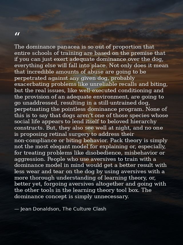 The dominance panacea is so out of proportion that entire schools of training are based on the premise that if you can j — Jean Donaldson, The Culture Clash