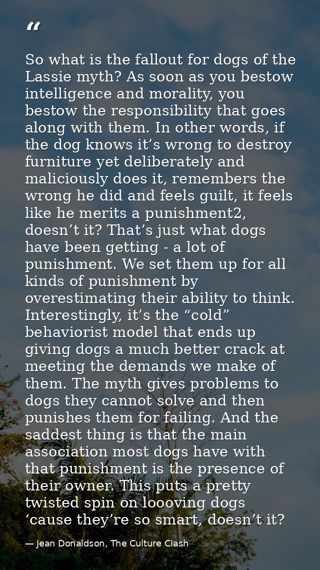 So what is the fallout for dogs of the Lassie myth? As soon as you bestow intelligence and morality, you bestow the resp — Jean Donaldson, The Culture Clash