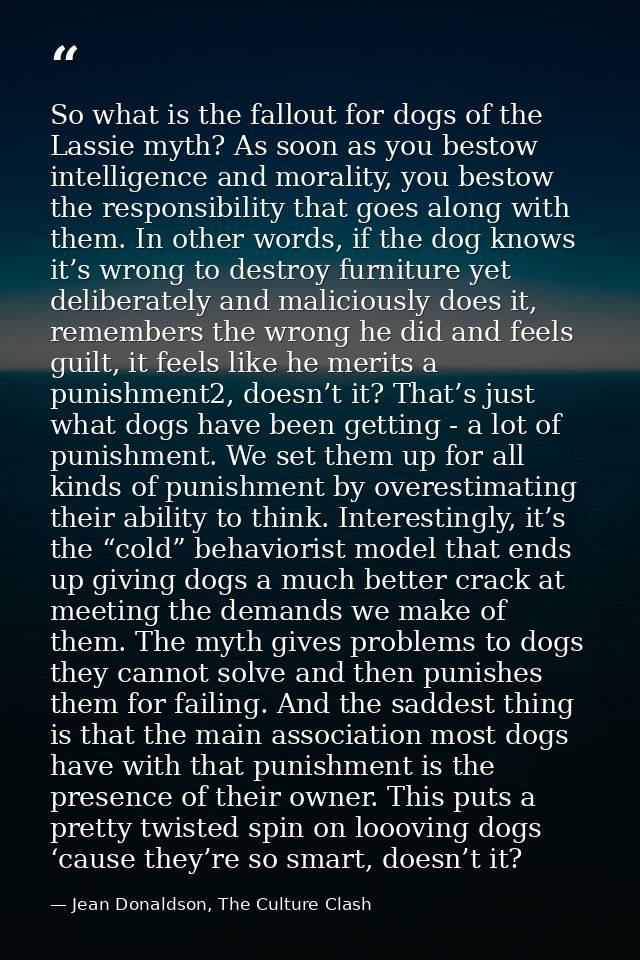 So what is the fallout for dogs of the Lassie myth? As soon as you bestow intelligence and morality, you bestow the resp — Jean Donaldson, The Culture Clash
