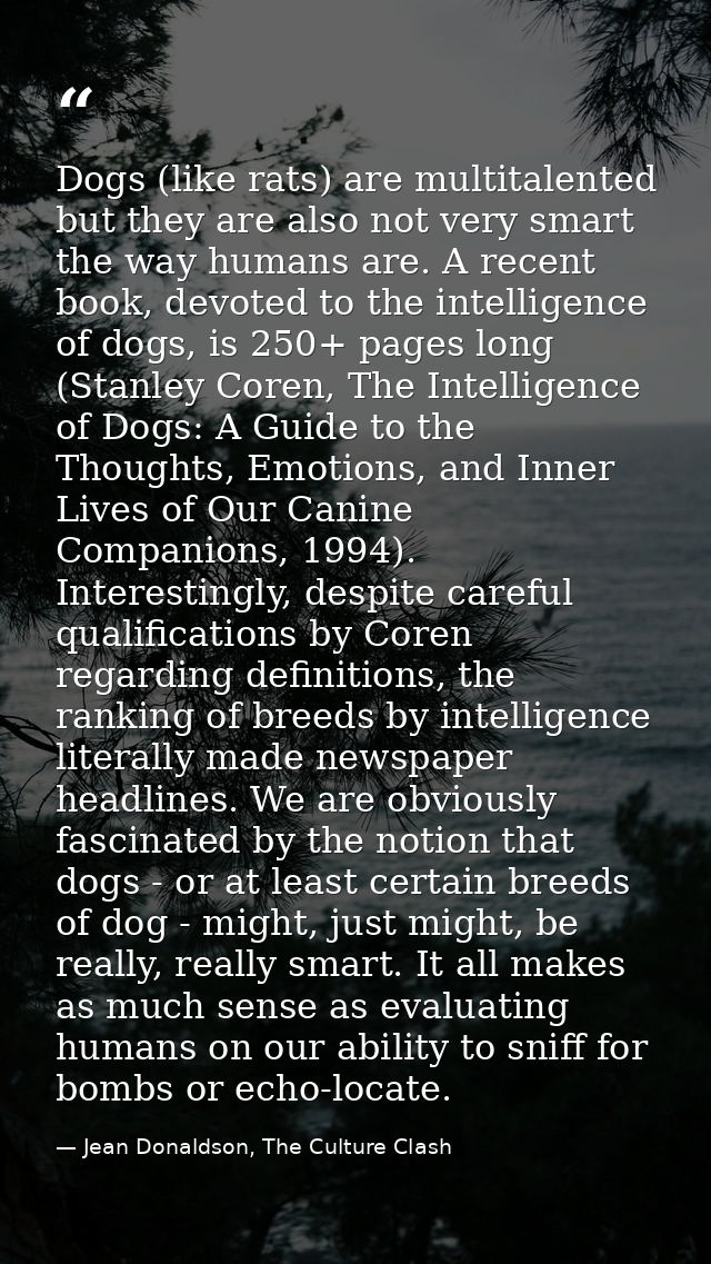 Dogs (like rats) are multitalented but they are also not very smart the way humans are. A recent book, devoted to the in — Jean Donaldson, The Culture Clash