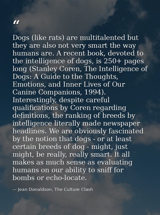 Dogs (like rats) are multitalented but they are also not very smart the way humans are. A recent book, devoted to the in — Jean Donaldson, The Culture Clash
