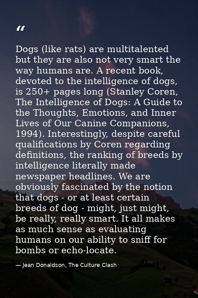 Dogs (like rats) are multitalented but they are also not very smart the way humans are. A recent book, devoted to the in — Jean Donaldson, The Culture Clash