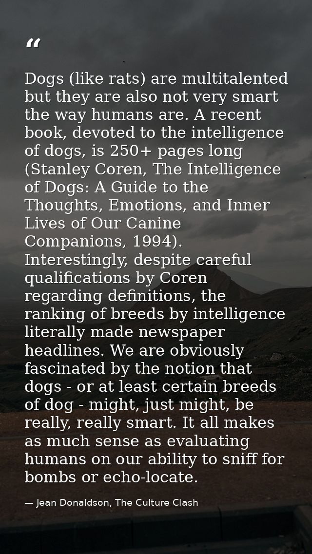 Dogs (like rats) are multitalented but they are also not very smart the way humans are. A recent book, devoted to the in — Jean Donaldson, The Culture Clash