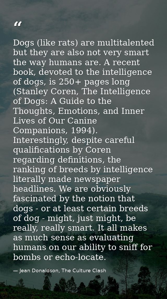 Dogs (like rats) are multitalented but they are also not very smart the way humans are. A recent book, devoted to the in — Jean Donaldson, The Culture Clash
