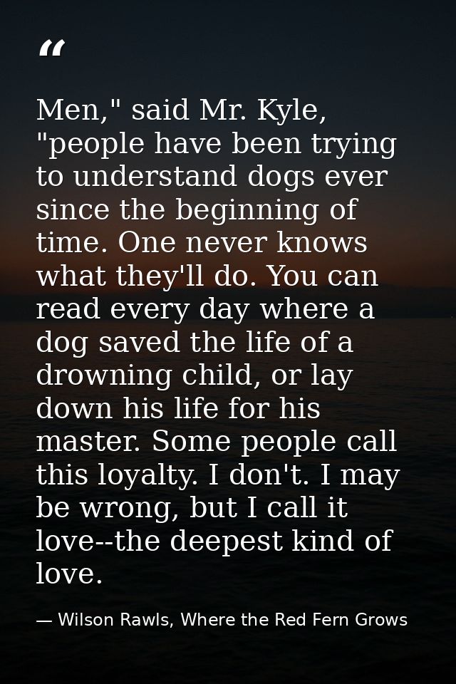 Men," said Mr. Kyle, "people have been trying to understand dogs ever since the beginning of time. One never knows what  — Wilson Rawls, Where the Red Fern Grows