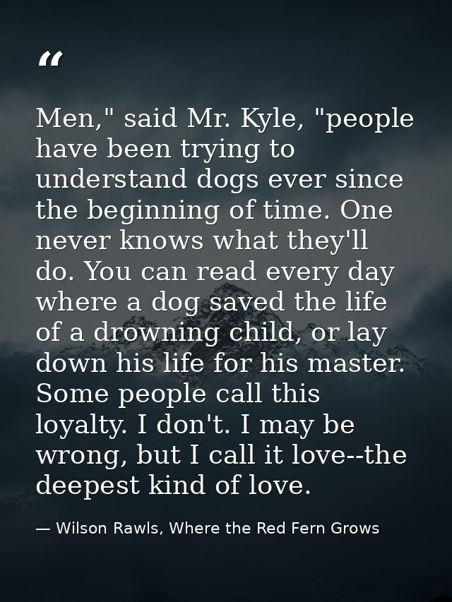 Men," said Mr. Kyle, "people have been trying to understand dogs ever since the beginning of time. One never knows what  — Wilson Rawls, Where the Red Fern Grows