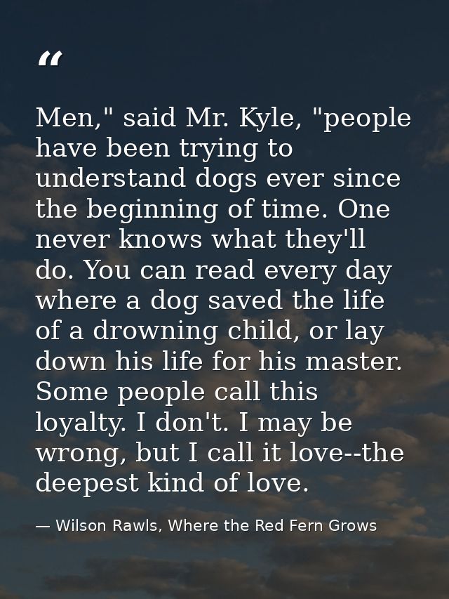 Men," said Mr. Kyle, "people have been trying to understand dogs ever since the beginning of time. One never knows what  — Wilson Rawls, Where the Red Fern Grows
