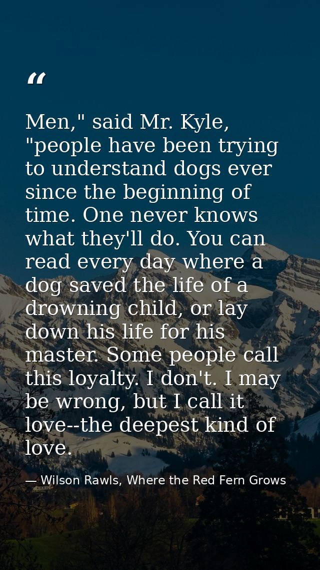 Men," said Mr. Kyle, "people have been trying to understand dogs ever since the beginning of time. One never knows what  — Wilson Rawls, Where the Red Fern Grows
