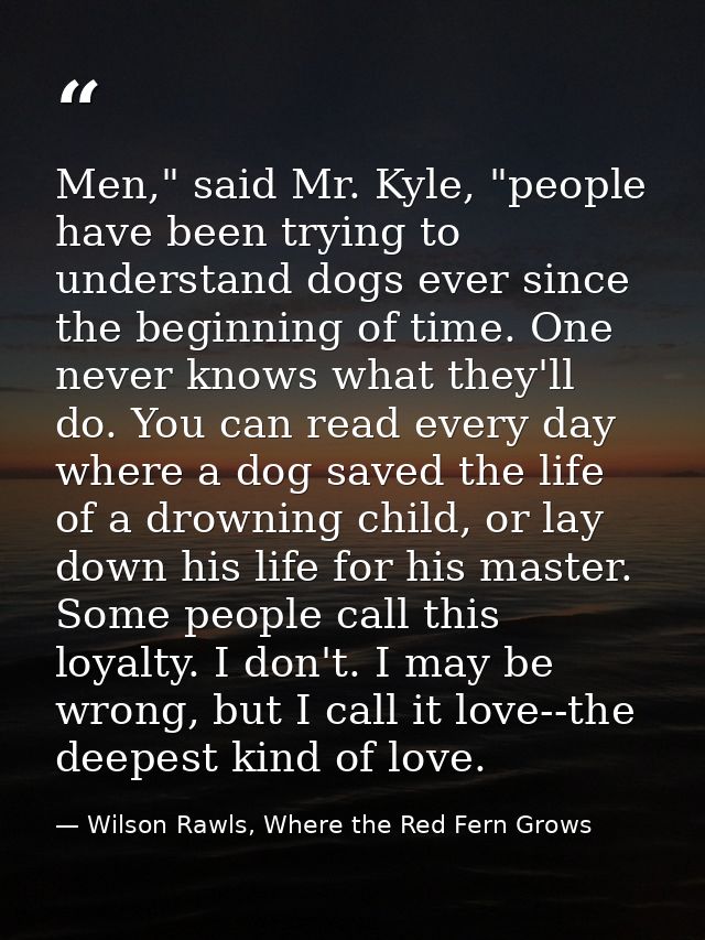 Men," said Mr. Kyle, "people have been trying to understand dogs ever since the beginning of time. One never knows what  — Wilson Rawls, Where the Red Fern Grows