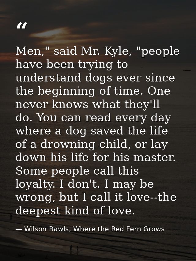 Men," said Mr. Kyle, "people have been trying to understand dogs ever since the beginning of time. One never knows what  — Wilson Rawls, Where the Red Fern Grows