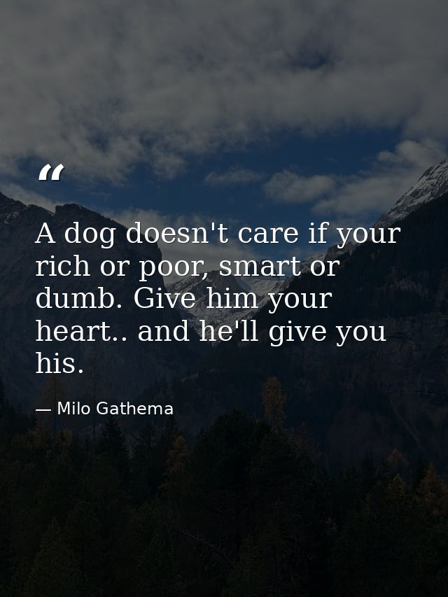 A dog doesn't care if your rich or poor, smart or dumb. Give him your heart.. and he'll give you his. — Milo Gathema