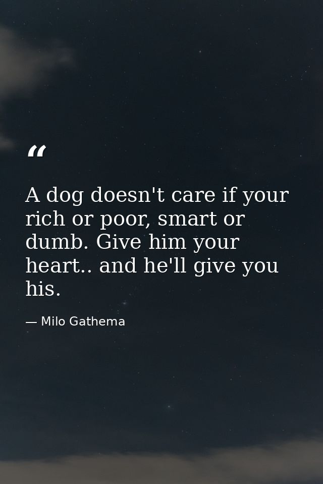 A dog doesn't care if your rich or poor, smart or dumb. Give him your heart.. and he'll give you his. — Milo Gathema