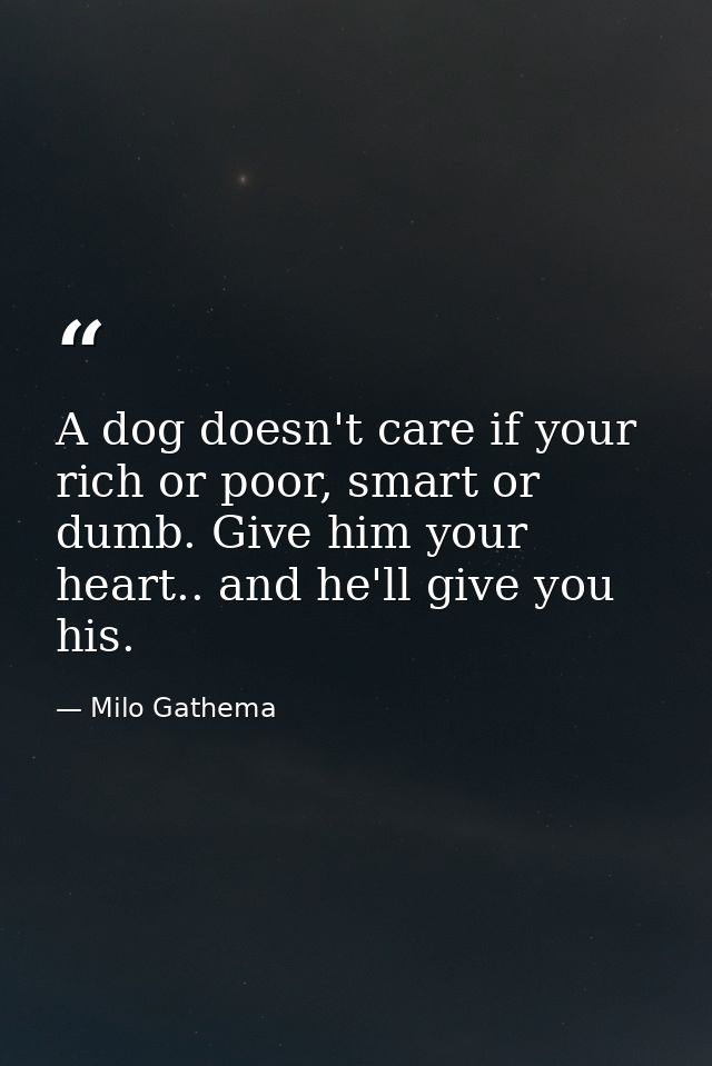 A dog doesn't care if your rich or poor, smart or dumb. Give him your heart.. and he'll give you his. — Milo Gathema