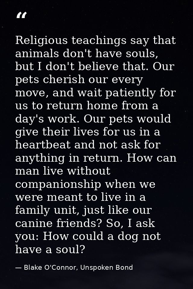 Religious teachings say that animals don't have souls, but I don't believe that. Our pets cherish our every move, and wa — Blake O'Connor, Unspoken Bond