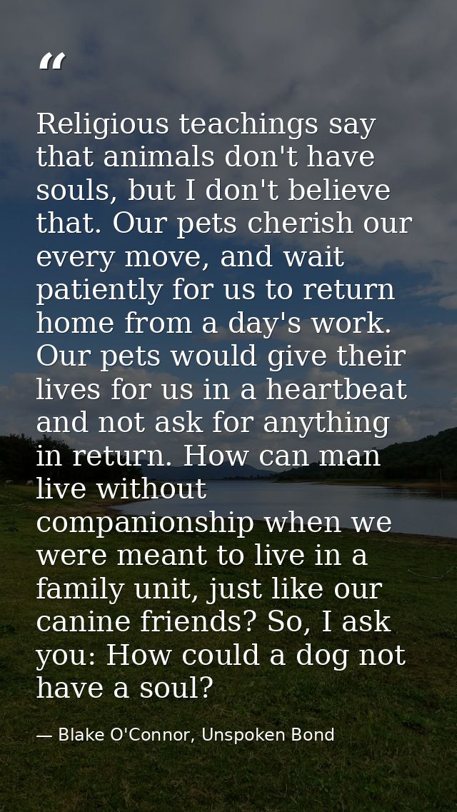 Religious teachings say that animals don't have souls, but I don't believe that. Our pets cherish our every move, and wa — Blake O'Connor, Unspoken Bond