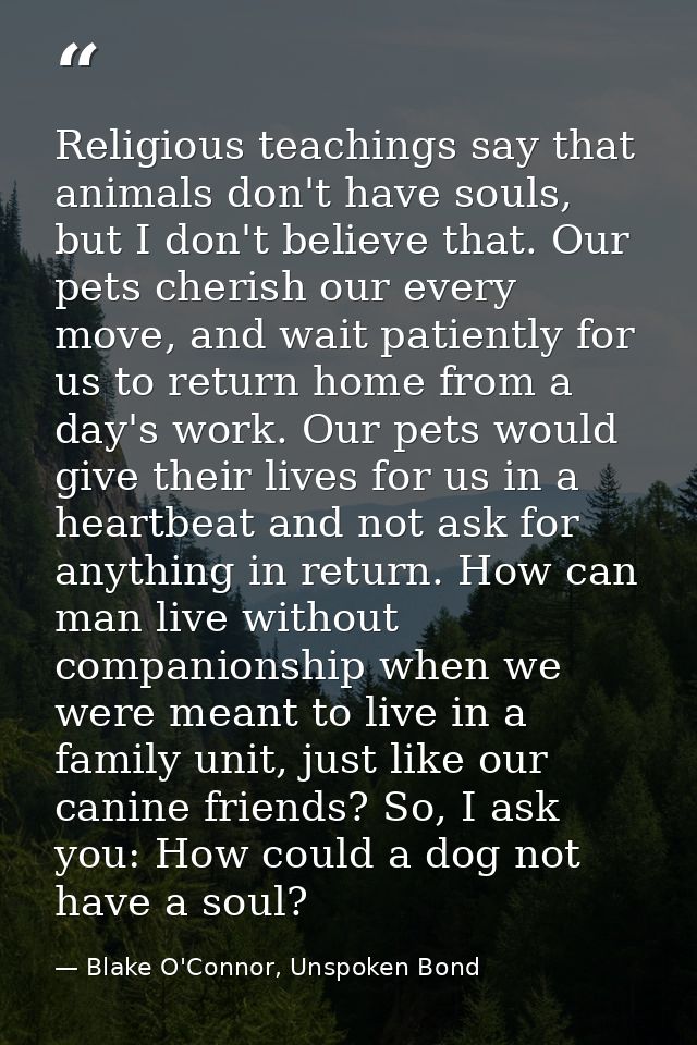 Religious teachings say that animals don't have souls, but I don't believe that. Our pets cherish our every move, and wa — Blake O'Connor, Unspoken Bond