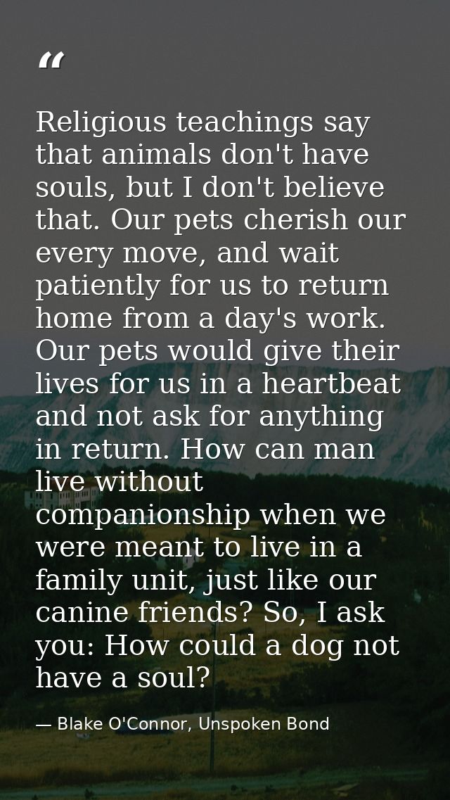 Religious teachings say that animals don't have souls, but I don't believe that. Our pets cherish our every move, and wa — Blake O'Connor, Unspoken Bond