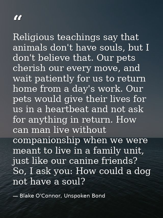 Religious teachings say that animals don't have souls, but I don't believe that. Our pets cherish our every move, and wa — Blake O'Connor, Unspoken Bond