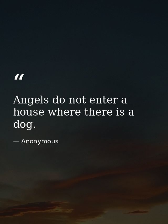 Angels do not enter a house where there is a dog. — Anonymous