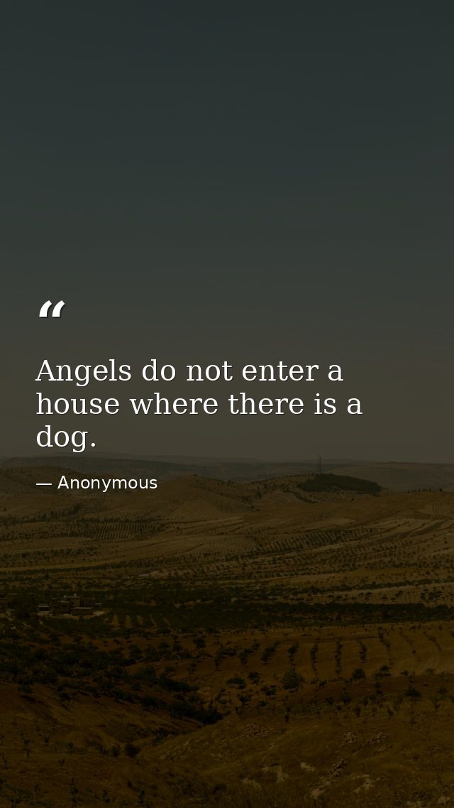 Angels do not enter a house where there is a dog. — Anonymous