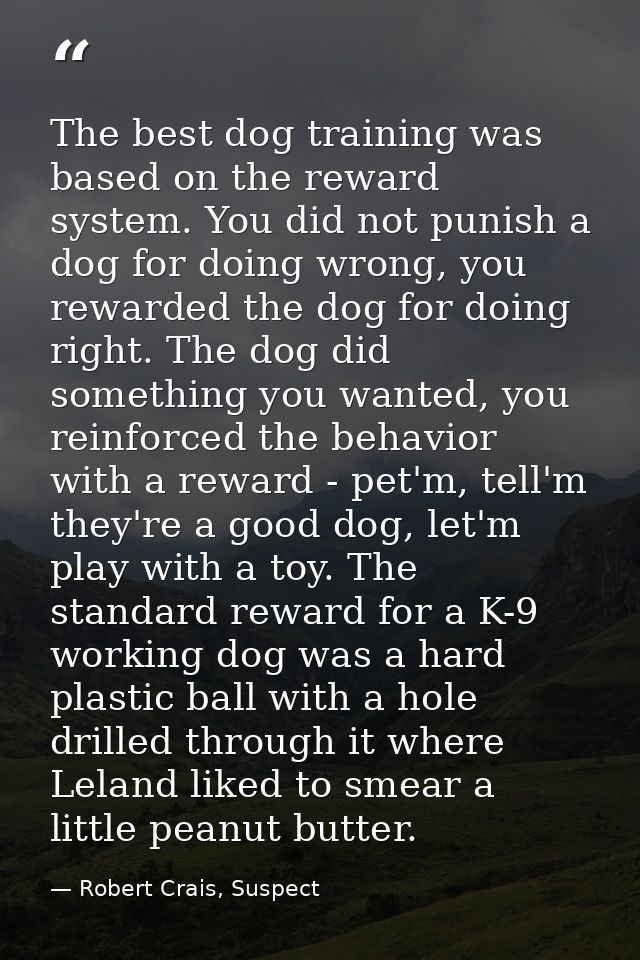 The best dog training was based on the reward system. You did not punish a dog for doing wrong, you rewarded the dog for — Robert Crais, Suspect