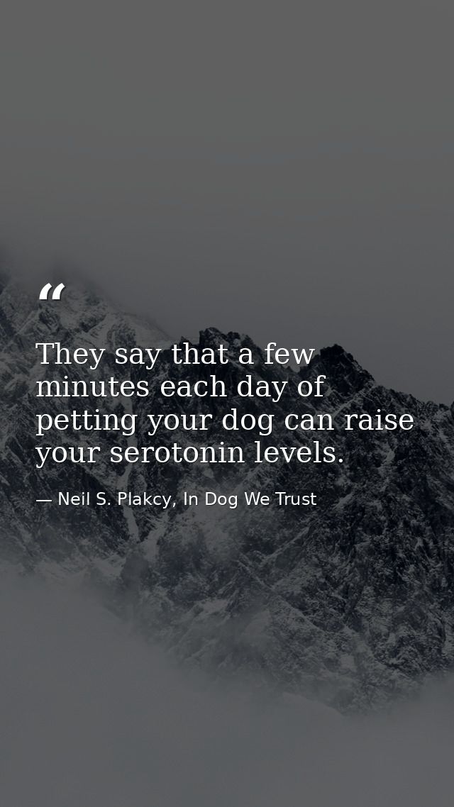 They say that a few minutes each day of petting your dog can raise your serotonin levels. — Neil S. Plakcy, In Dog We Trust