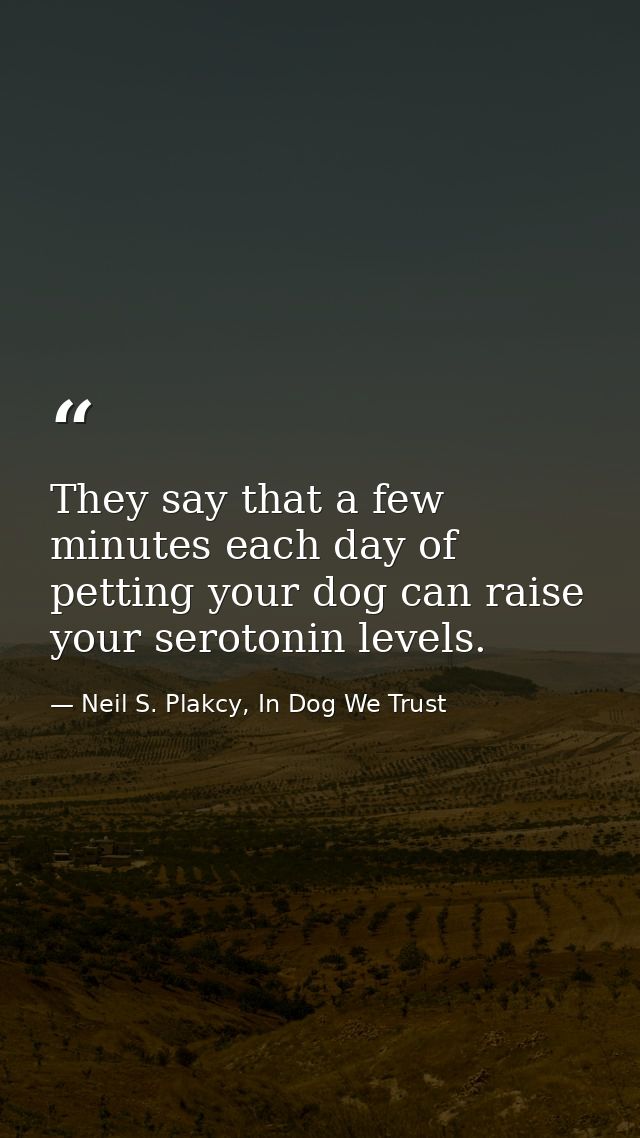 They say that a few minutes each day of petting your dog can raise your serotonin levels. — Neil S. Plakcy, In Dog We Trust
