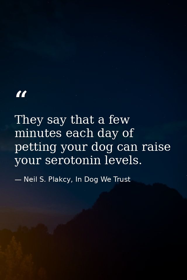 They say that a few minutes each day of petting your dog can raise your serotonin levels. — Neil S. Plakcy, In Dog We Trust