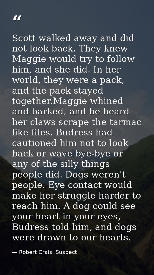 Scott walked away and did not look back. They knew Maggie would try to follow him, and she did. In her world, they were  — Robert Crais, Suspect