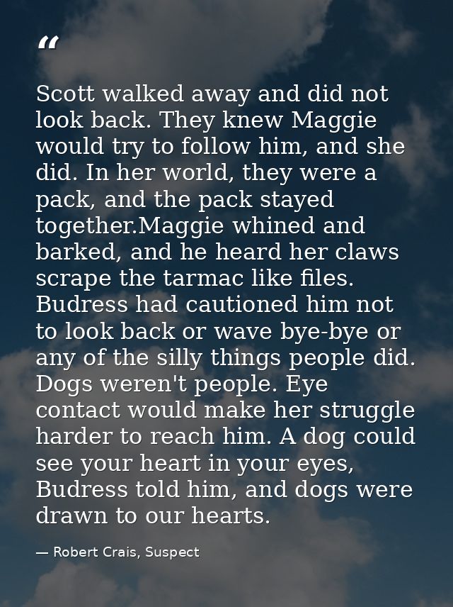 Scott walked away and did not look back. They knew Maggie would try to follow him, and she did. In her world, they were  — Robert Crais, Suspect