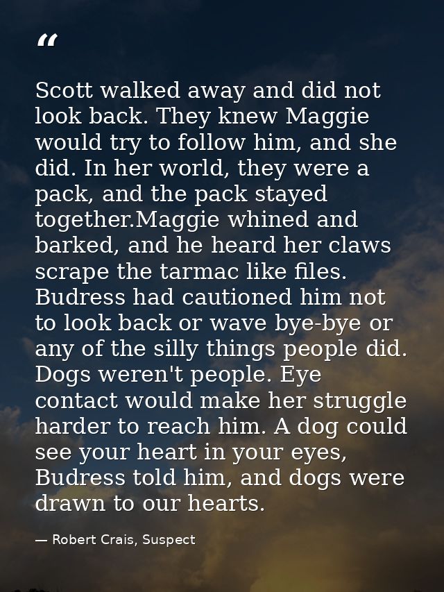 Scott walked away and did not look back. They knew Maggie would try to follow him, and she did. In her world, they were  — Robert Crais, Suspect