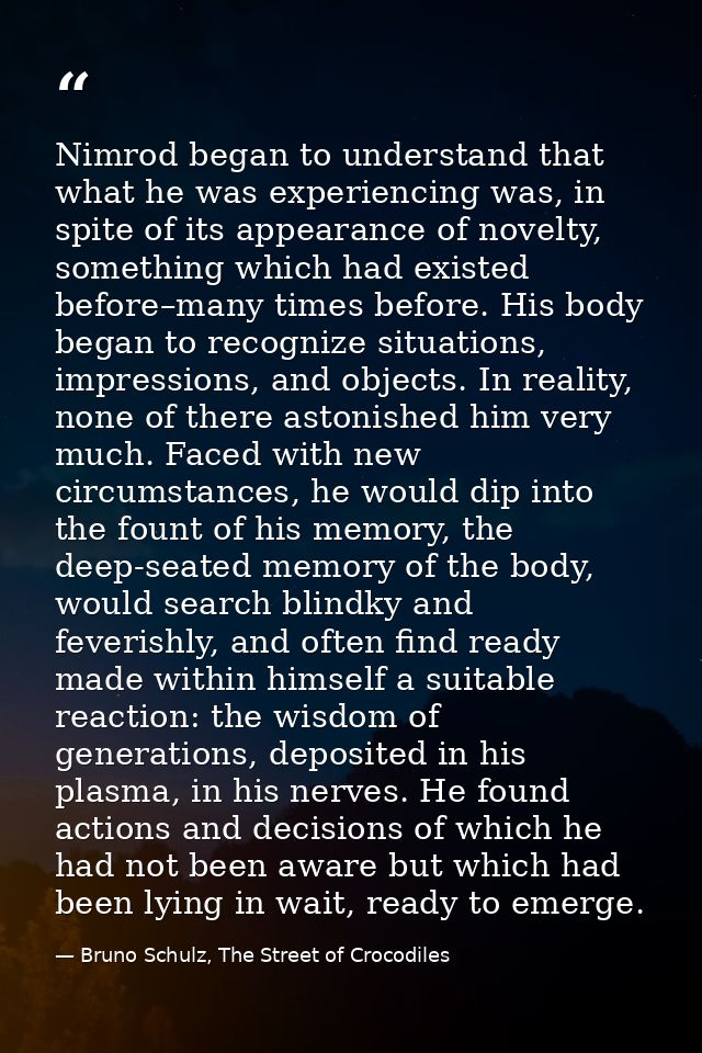 Nimrod began to understand that what he was experiencing was, in spite of its appearance of novelty, something which had — Bruno Schulz, The Street of Crocodiles