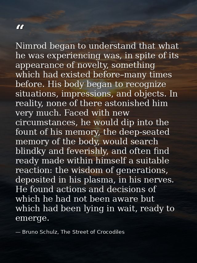 Nimrod began to understand that what he was experiencing was, in spite of its appearance of novelty, something which had — Bruno Schulz, The Street of Crocodiles