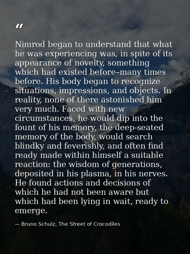 Nimrod began to understand that what he was experiencing was, in spite of its appearance of novelty, something which had — Bruno Schulz, The Street of Crocodiles