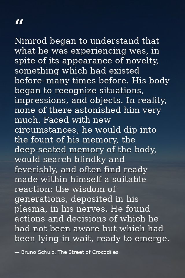 Nimrod began to understand that what he was experiencing was, in spite of its appearance of novelty, something which had — Bruno Schulz, The Street of Crocodiles
