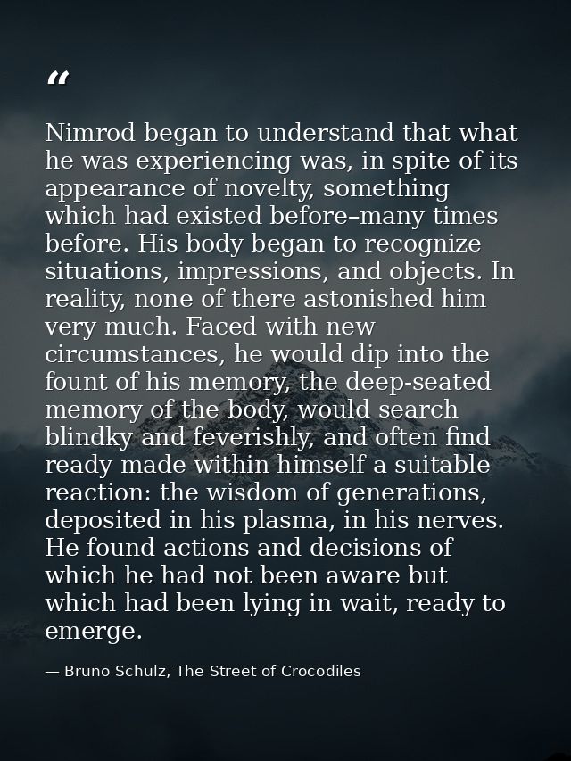 Nimrod began to understand that what he was experiencing was, in spite of its appearance of novelty, something which had — Bruno Schulz, The Street of Crocodiles