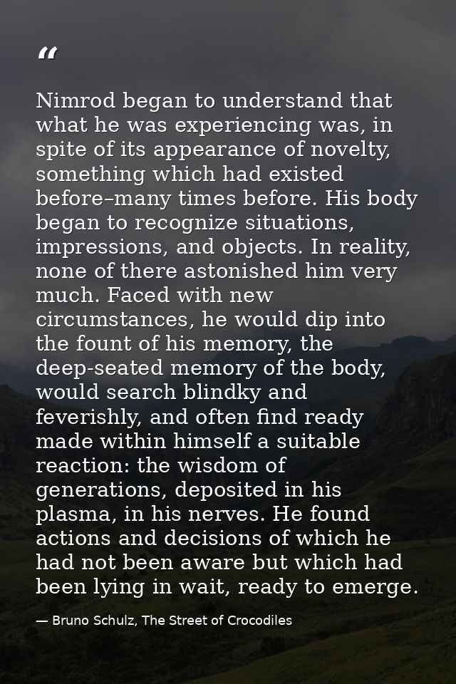 Nimrod began to understand that what he was experiencing was, in spite of its appearance of novelty, something which had — Bruno Schulz, The Street of Crocodiles